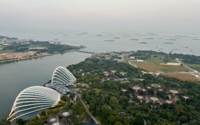 Gardens by the bay - Jacques Gardens by the bay - Jacques