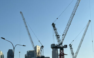 Grues à tour - Jacques Grues à tour - Jacques